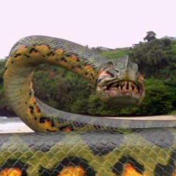 玩恐龙大战：探索史前生物的奇幻世界，尽情体验刺激的战斗与冒险