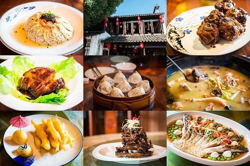 香港二四六开奖结果十开奖记录|探索古镇风情与美食之旅_潮流版GM.1.222
