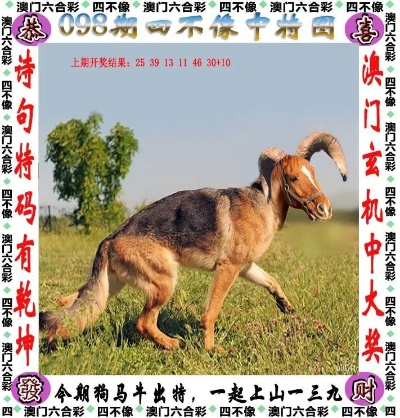 四不像凤凰版免费资料|定量分析解释落实_潜能款.6.32